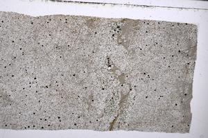 Plane Polarized, E54034