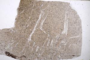 Plane Polarized, E54060