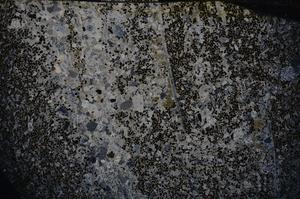 Cross Polarized, E54076