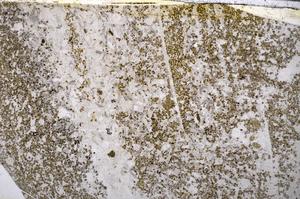 Plane Polarized, E54076