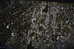 Cross Polarized, E54077