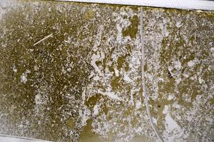 Plane Polarized, E54077