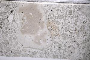 Plane Polarized, E54083/B