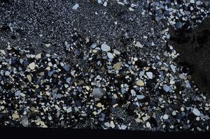 Cross Polarized, E54087