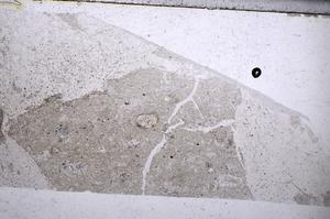Plane Polarized, E54123