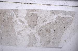 Plane Polarized, E54124