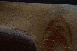 Cross Polarized, E54134