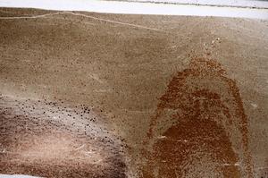 Plane Polarized, E54134