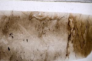 Plane Polarized, E54135/A