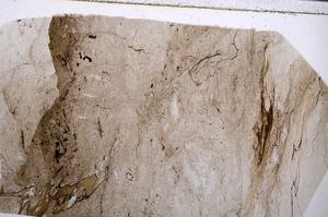 Plane Polarized, E54135/B