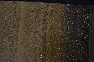 Cross Polarized, E54137