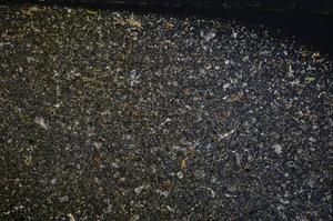 Cross Polarized, E54140/A