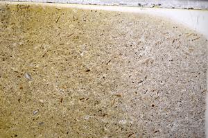 Plane Polarized, E54140/A