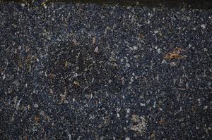 Cross Polarized, E54140/B