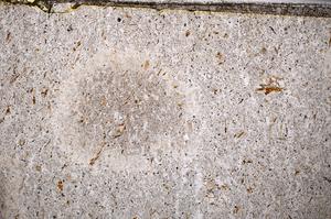 Plane Polarized, E54140/B