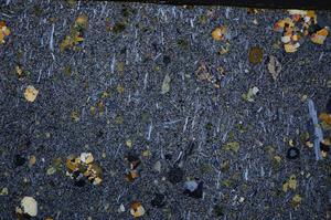 Cross Polarized, E54141/B