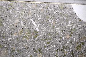 Plane Polarized, E54142/A