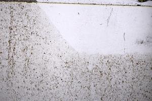 Plane Polarized, E54153