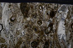 Cross Polarized, E54158/A