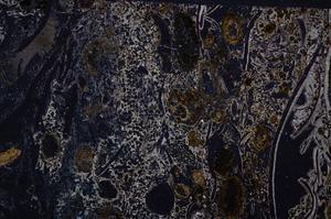 Cross Polarized, E54158/B