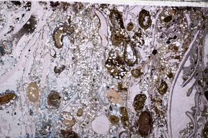 Plane Polarized, E54158/B