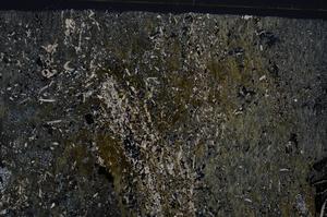 Cross Polarized, E54160