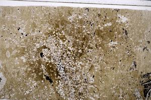 Plane Polarized, E54160