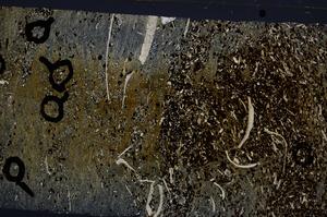 Cross Polarized, E54161