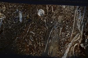 Cross Polarized, E54162