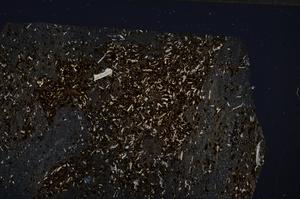 Cross Polarized, E54163