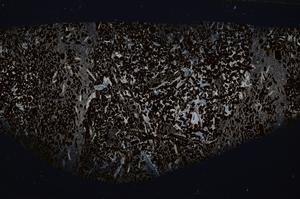 Cross Polarized, E54172/A