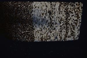 Cross Polarized, E54173/B