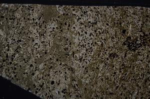 Cross Polarized, E54174