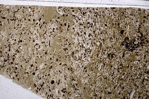 Plane Polarized, E54174