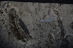 Cross Polarized, E54176