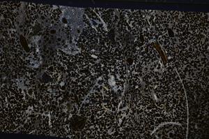 Cross Polarized, E54178