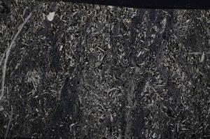 Cross Polarized, E54181