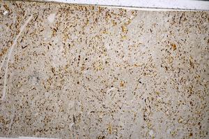 Plane Polarized, E54181