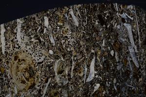 Cross Polarized, E54184/A