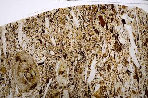 Plane Polarized, E54184/A