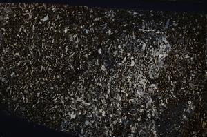 Cross Polarized, E54187/A