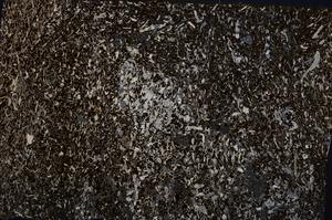 Cross Polarized, E54187/B