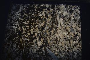 Cross Polarized, E54193/A