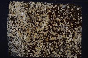 Cross Polarized, E54193/B