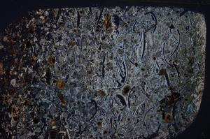 Cross Polarized, E54196/A