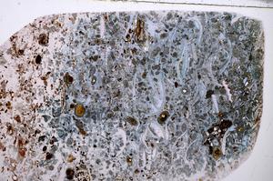 Plane Polarized, E54196/A