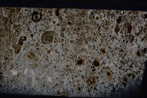 Cross Polarized, E54196/B