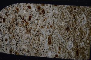 Cross Polarized, E54196/C