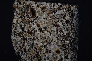 Cross Polarized, E54197/B