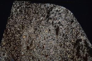 Cross Polarized, E54203/A